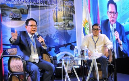 CEZA names Port Irene, Cagayan airport as key projects